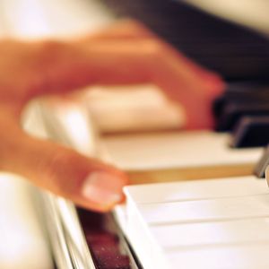 网站简单小鹤导航
