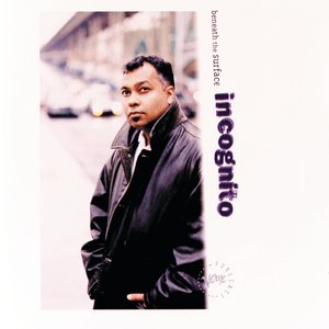 网站简单小鹤导航
