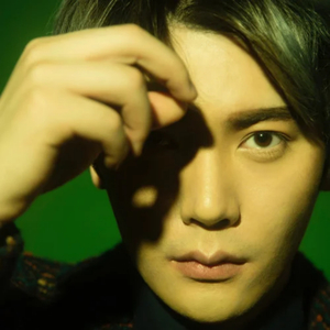 网站简单小鹤导航
