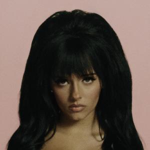 网站简单小鹤导航
